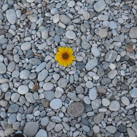 Apartamento Economisa