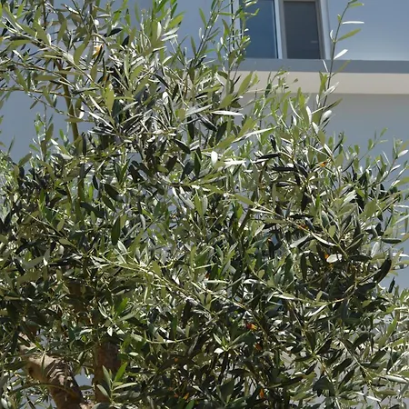 Economisa Appartamento *