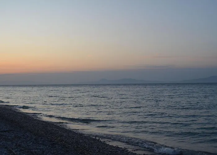 Economisa Apartament