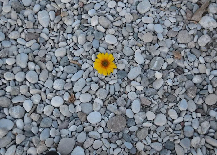 アパート Economisa