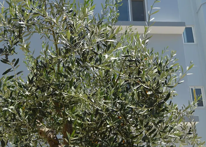 Economisa アパート *